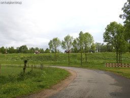 ws 345